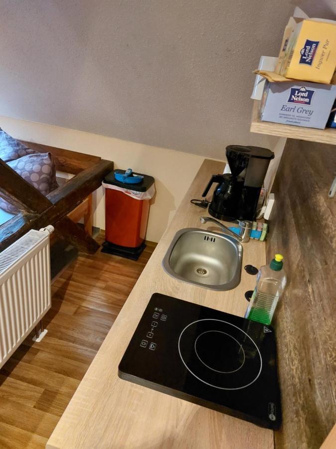 Apartament Waldquelle Plauen Zewnętrze zdjęcie