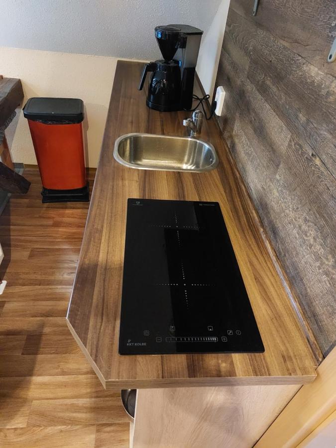 Apartament Waldquelle Plauen Zewnętrze zdjęcie